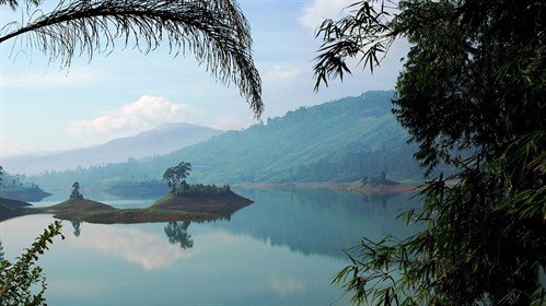 Ceylon Tea Trails