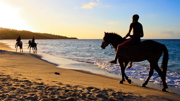 Horses On Beach