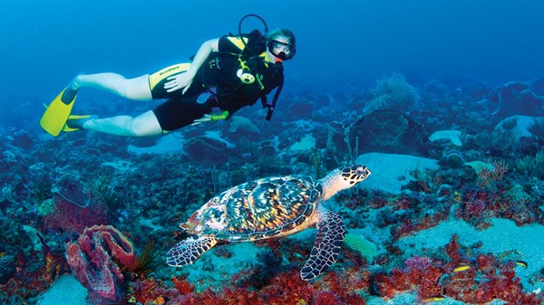 Scuba diving
