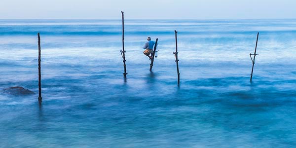 Stilt Fishermen in Sri Lanka by Matthew Williams-Ellis
