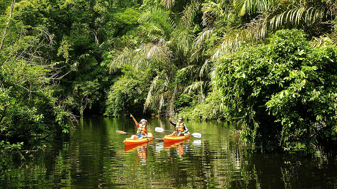 Tortuga Lodge & Gardens