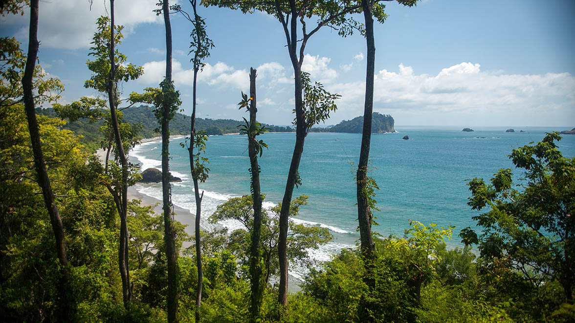 Arenas Del Mar Beachfront & Rainforest Resort