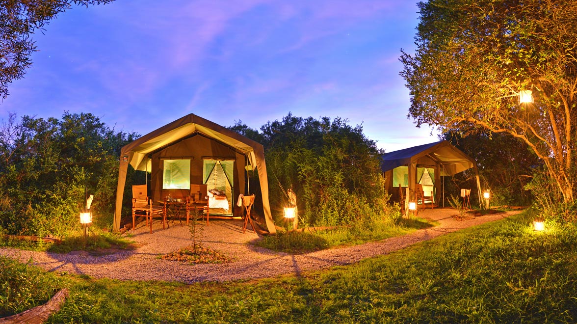 Shamwari Private Game Reserve