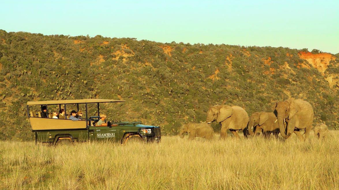 Shamwari Private Game Reserve