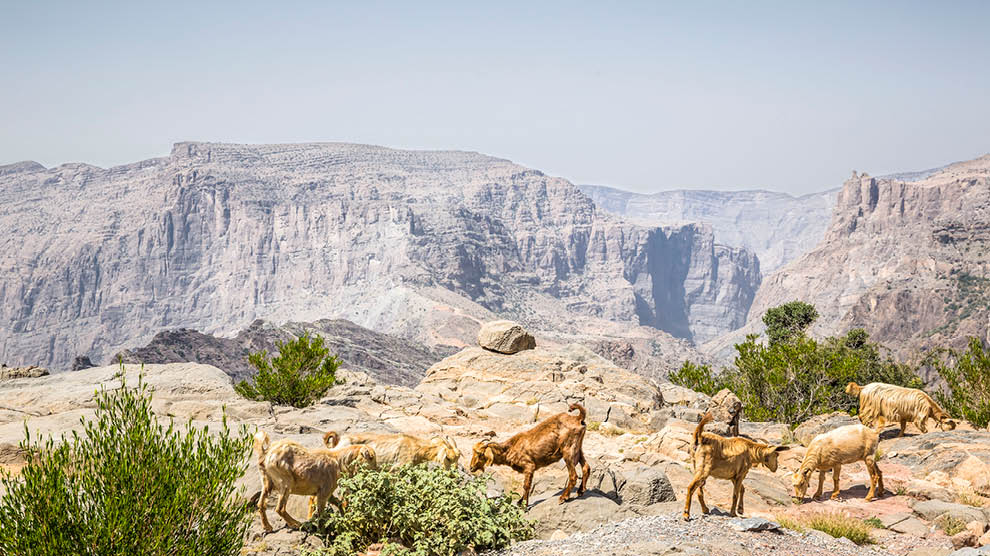 Anantara Al Jabal Al Akhdar
